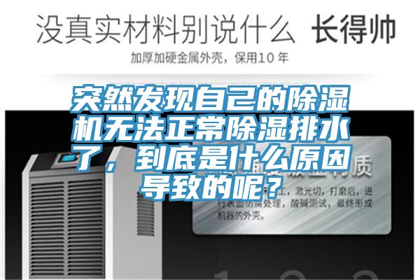 突然發(fā)現(xiàn)自己的除濕機(jī)無(wú)法正常除濕排水了，到底是什么原因?qū)е碌哪兀?></div>
								<div   id=