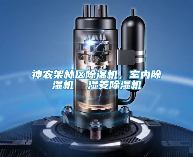 神農(nóng)架林區(qū)除濕機，室內(nèi)除濕機  濕菱除濕機