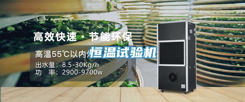 恒溫試驗機
