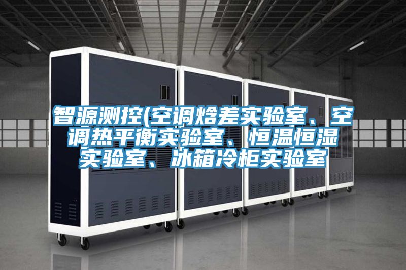 智源測(cè)控(空調(diào)焓差實(shí)驗(yàn)室、空調(diào)熱平衡實(shí)驗(yàn)室、恒溫恒濕實(shí)驗(yàn)室、冰箱冷柜實(shí)驗(yàn)室