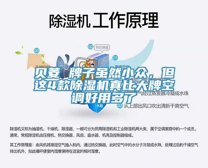 貝菱 牌子雖然小眾，但這4款除濕機(jī)真比大牌空調(diào)好用多了