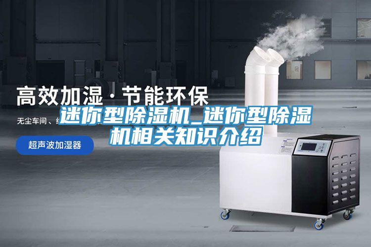 迷你型除濕機_迷你型除濕機相關知識介紹