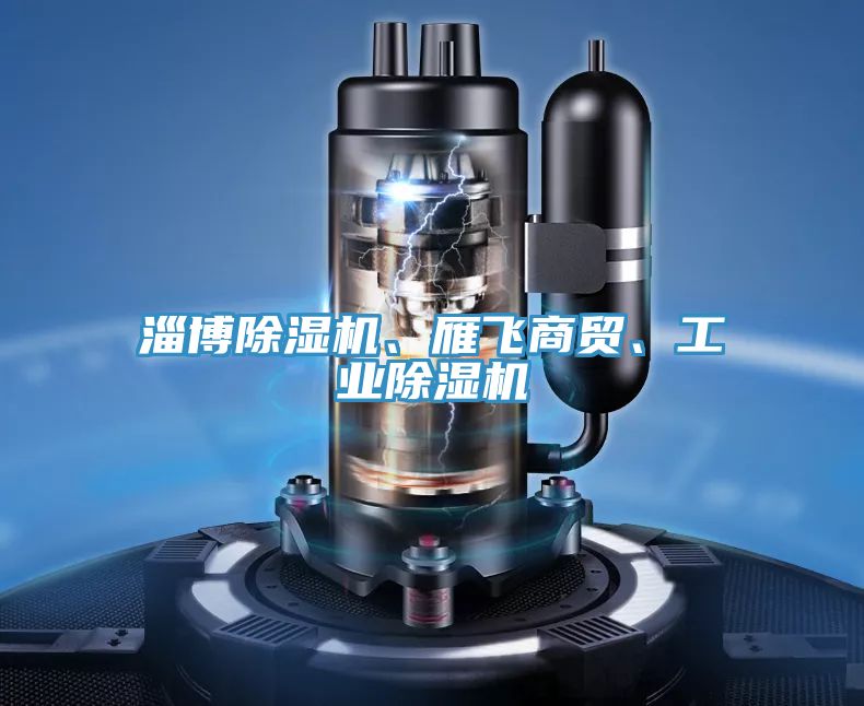 淄博除濕機、雁飛商貿(mào)、工業(yè)除濕機