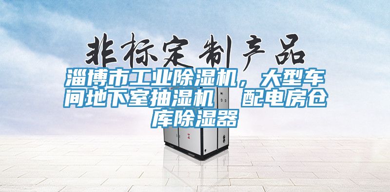 淄博市工業(yè)除濕機，大型車間地下室抽濕機  配電房倉庫除濕器