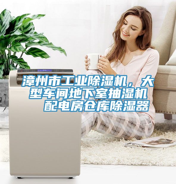 漳州市工業除濕機，大型車間地下室抽濕機  配電房倉庫除濕器