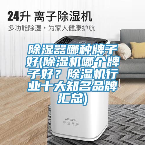 除濕器哪種牌子好(除濕機(jī)哪個(gè)牌子好？除濕機(jī)行業(yè)十大知名品牌匯總)