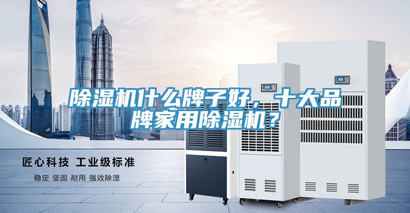 除濕機(jī)什么牌子好，十大品牌家用除濕機(jī)？