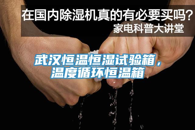 武漢恒溫恒濕試驗箱，溫度循環(huán)恒溫箱