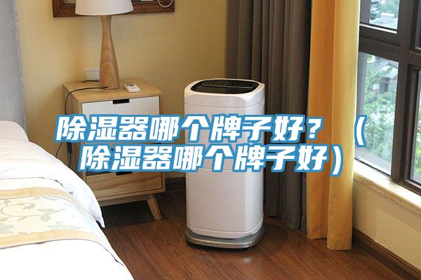 除濕器哪個牌子好？（除濕器哪個牌子好）