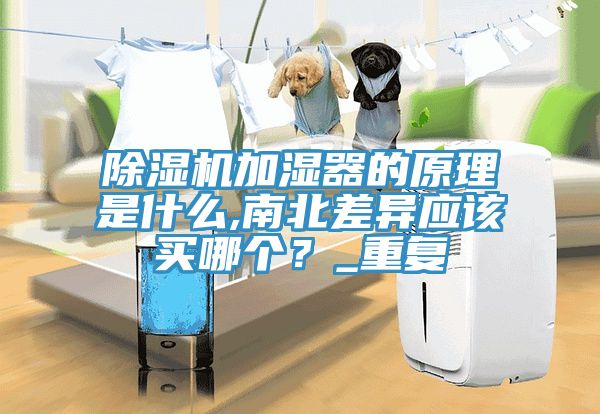 除濕機(jī)加濕器的原理是什么,南北差異應(yīng)該買哪個(gè)？_重復(fù)
