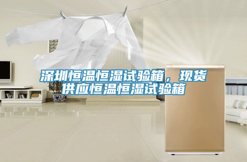 深圳恒溫恒濕試驗箱，現貨供應恒溫恒濕試驗箱