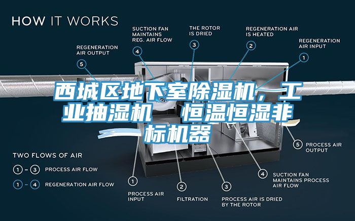 西城區地下室除濕機，工業抽濕機  恒溫恒濕非標機器