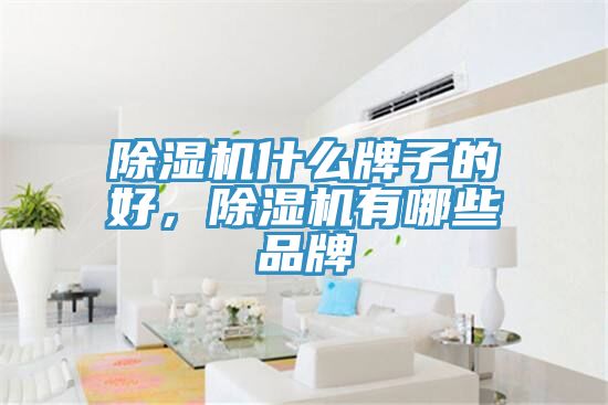 除濕機(jī)什么牌子的好，除濕機(jī)有哪些品牌