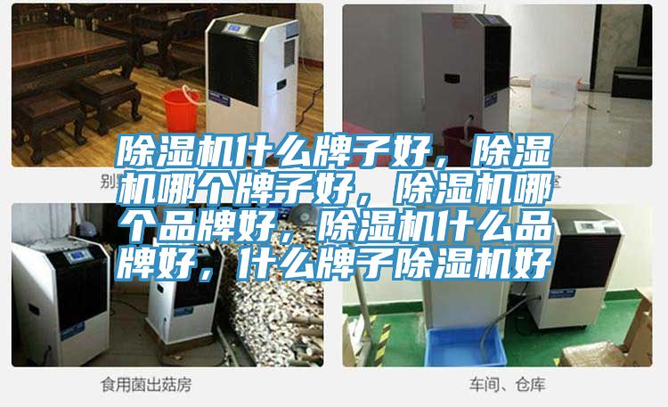 除濕機(jī)什么牌子好，除濕機(jī)哪個牌子好，除濕機(jī)哪個品牌好，除濕機(jī)什么品牌好，什么牌子除濕機(jī)好