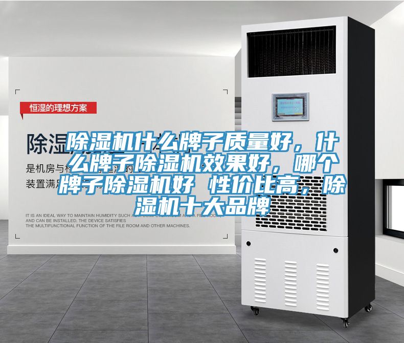 除濕機(jī)什么牌子質(zhì)量好，什么牌子除濕機(jī)效果好，哪個(gè)牌子除濕機(jī)好 性價(jià)比高，除濕機(jī)十大品牌