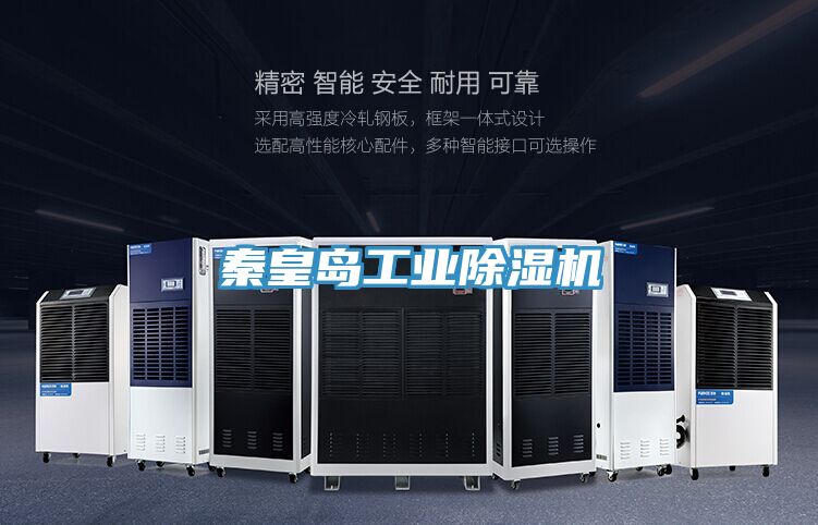 秦皇島工業除濕機
