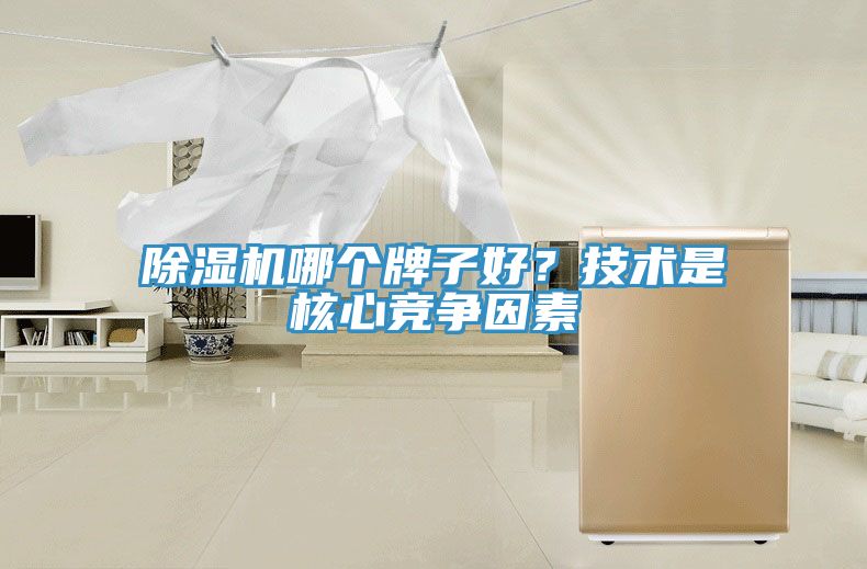 除濕機(jī)哪個(gè)牌子好？技術(shù)是核心競爭因素
