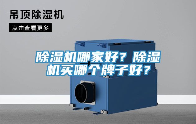 除濕機哪家好？除濕機買哪個牌子好？