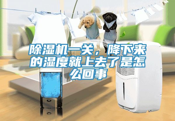 除濕機一關，降下來的濕度就上去了是怎么回事