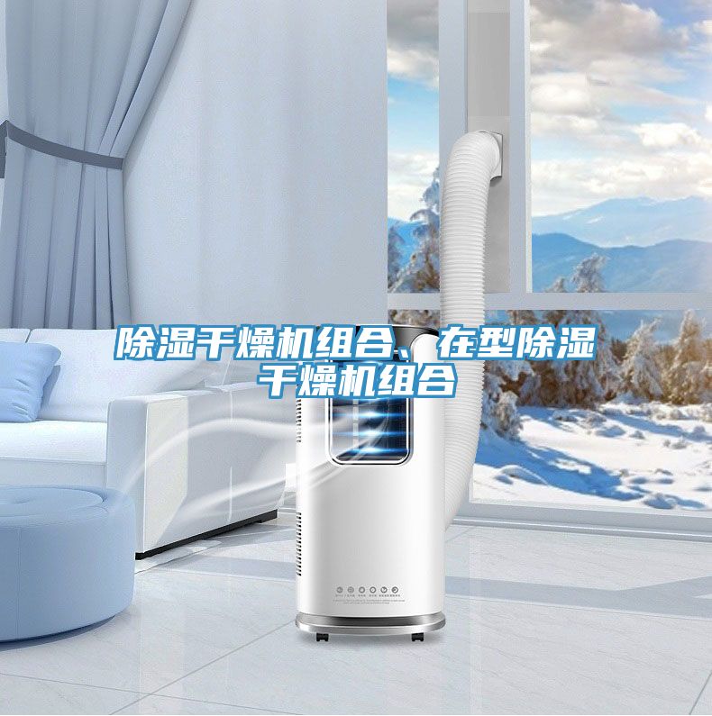除濕干燥機組合、在型除濕干燥機組合