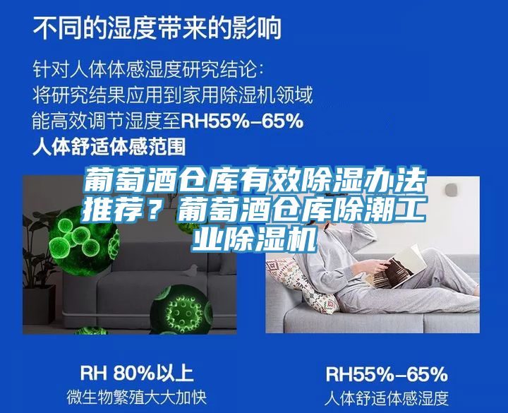 葡萄酒倉(cāng)庫(kù)有效除濕辦法推薦？葡萄酒倉(cāng)庫(kù)除潮工業(yè)除濕機(jī)