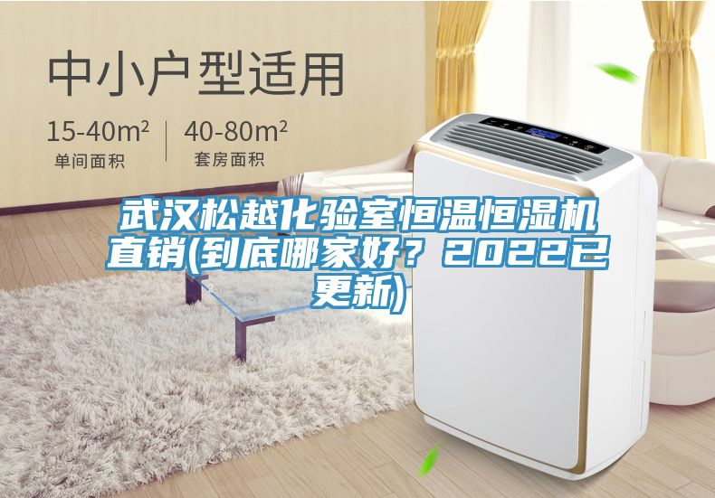 武漢松越化驗室恒溫恒濕機直銷(到底哪家好？2022已更新)