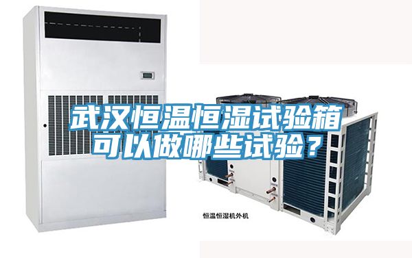 武漢恒溫恒濕試驗箱可以做哪些試驗？