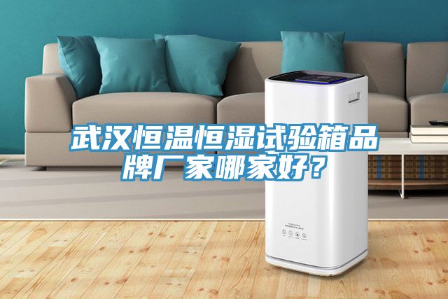 武漢恒溫恒濕試驗箱品牌廠家哪家好？