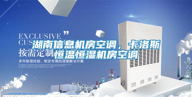 湖南信息機房空調，卡洛斯恒溫恒濕機房空調