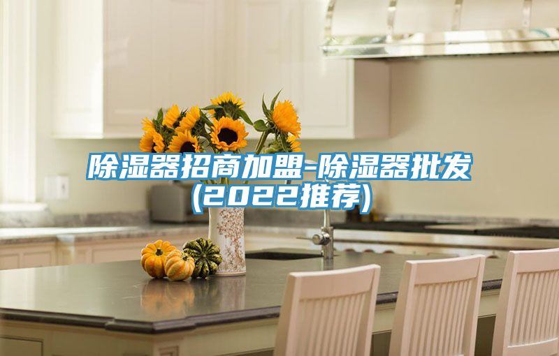 除濕器招商加盟-除濕器批發(2022推薦)