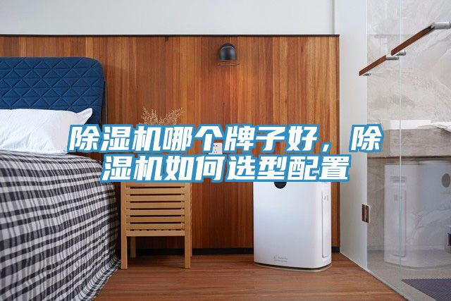 除濕機(jī)哪個牌子好，除濕機(jī)如何選型配置