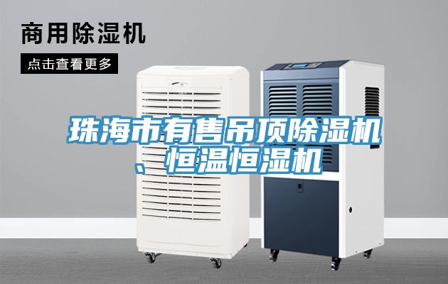 珠海市有售吊頂除濕機、恒溫恒濕機