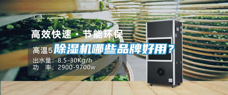 除濕機哪些品牌好用？