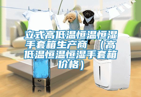 立式高低溫恒溫恒濕手套箱生產商 （高低溫恒溫恒濕手套箱價格）