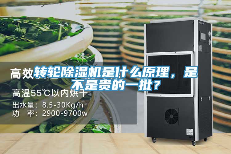 轉(zhuǎn)輪除濕機是什么原理，是不是貴的一批？