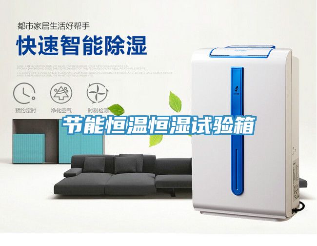 節能恒溫恒濕試驗箱