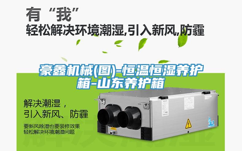 豪鑫機械(圖)-恒溫恒濕養護箱-山東養護箱