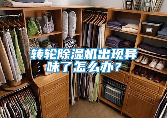 轉輪除濕機出現(xiàn)異味了怎么辦？