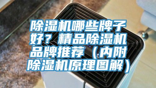 除濕機哪些牌子好？精品除濕機品牌推薦（內附除濕機原理圖解）