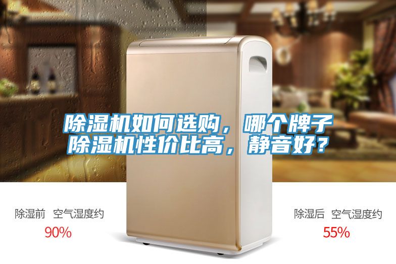 除濕機如何選購，哪個牌子除濕機性價比高，靜音好？