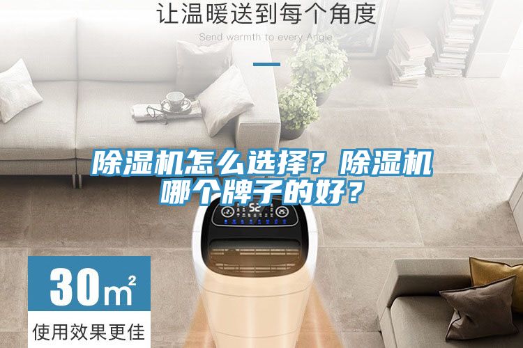 除濕機(jī)怎么選擇？除濕機(jī)哪個(gè)牌子的好？