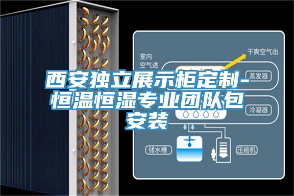 西安獨(dú)立展示柜定制-恒溫恒濕專(zhuān)業(yè)團(tuán)隊(duì)包安裝