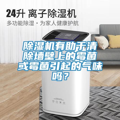 除濕機有助于清除墻壁上的霉菌或霉菌引起的氣味嗎？