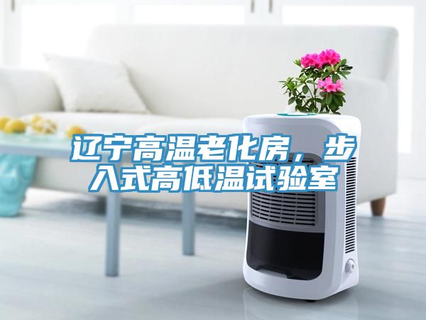 遼寧高溫老化房，步入式高低溫試驗室