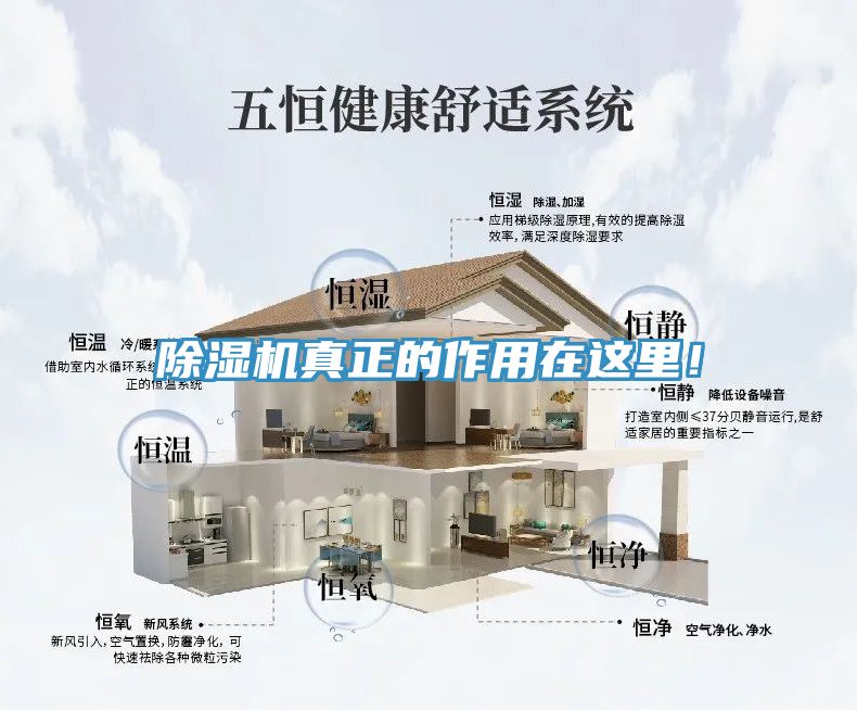 除濕機真正的作用在這里！