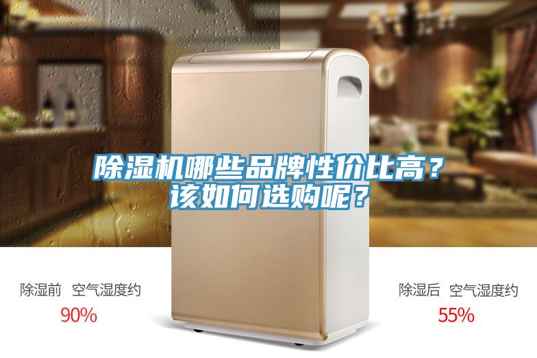 除濕機哪些品牌性價比高？該如何選購呢？