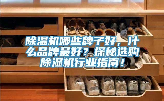 除濕機哪些牌子好，什么品牌最好？探秘選購除濕機行業指南！
