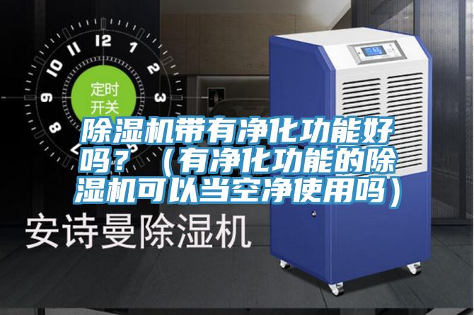除濕機帶有凈化功能好嗎？（有凈化功能的除濕機可以當空凈使用嗎）