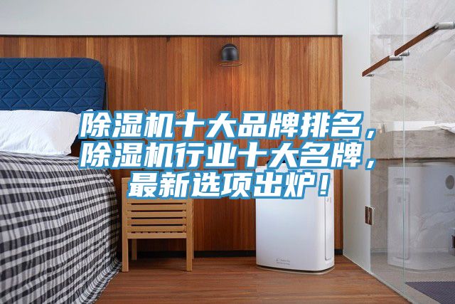 除濕機十大品牌排名，除濕機行業(yè)十大名牌，最新選項出爐！
