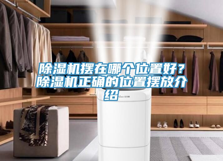 除濕機擺在哪個位置好？除濕機正確的位置擺放介紹